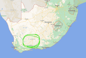 pleiospilos nelii range