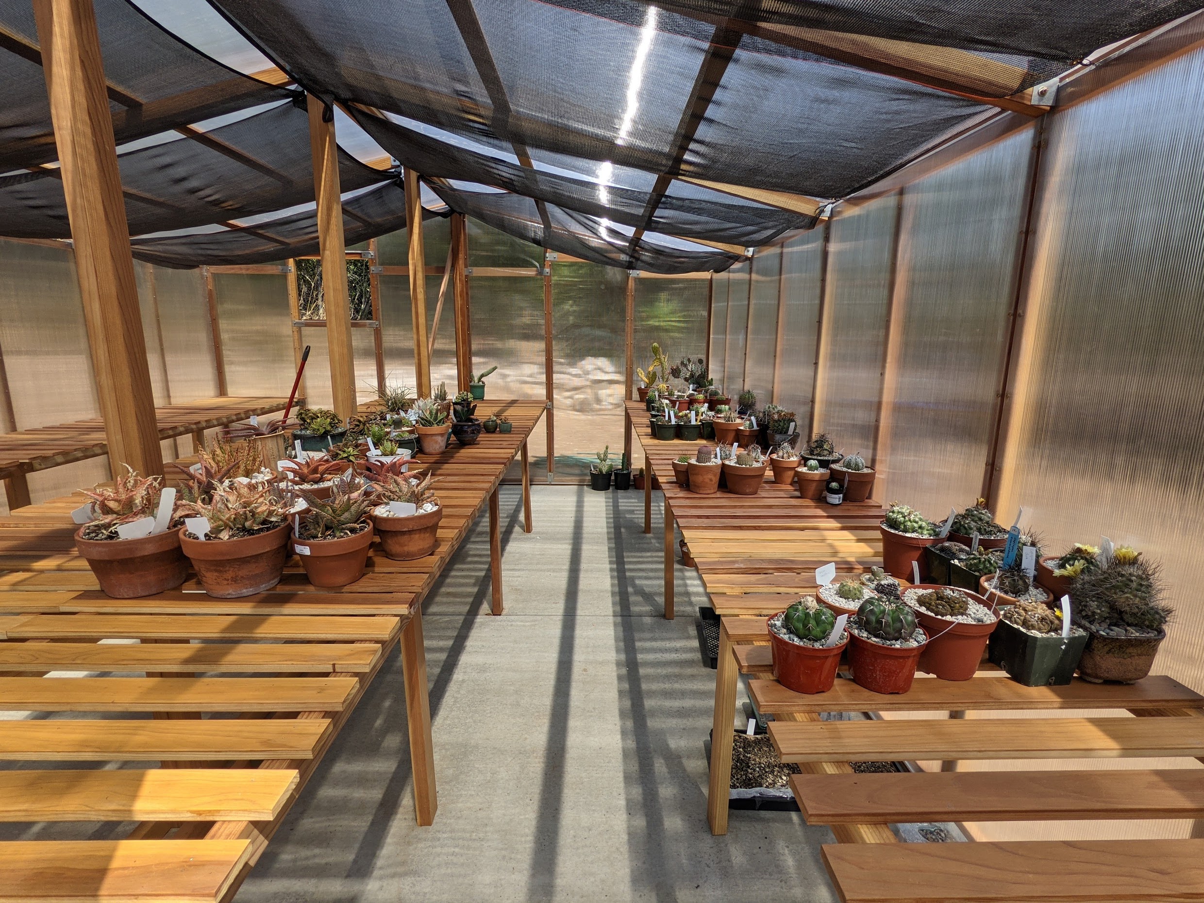 redwood greenhouse